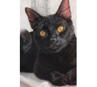 Black Cat Diary 2026, Approx A5 Week Per Page Hard Back with Artwork by Sally Sturgess.: With UK Holidays, Pagan Festivals and Moon Phases. Perfect cat lover gift. Supports a UK artist.