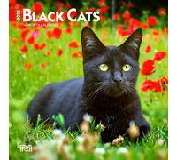 Black Cats 2025 7 X 14 Inch Monthly Mini Wall Calendar Browntrout Animals Feline Pets