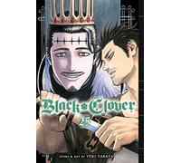 Black Clover, Vol. 25: Volume 25 (BLACK CLOVER GN)