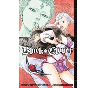 Black Clover, Vol. 3: Volume 3 (BLACK CLOVER GN)
