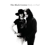 Black Crowes, The - Only a Fool