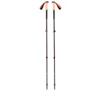 Bastones de senderismo Black Diamond TRAIL CORK TREKKING POLES (Fig)