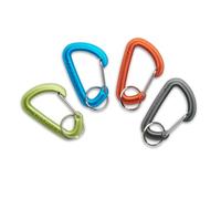 Black Diamond Micron Small - Mini mosquetón para Camping y Uso Diario