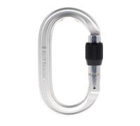 Black Diamond Oval Keylock Screwgate Mosquetón de rosca Talla única Plateado