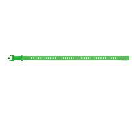 BLACK DIAMOND Ski Strap 25 - Unisex - Verde - talla única- modelo 2026