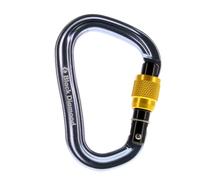Black Diamond VaporLock Screwgate Mosquetón Talla única Amarillo