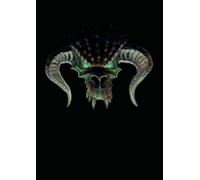 Black Dragon Skull Grid Notebook - A4 0.5cm (0.196 inch) Diced Paper, 120 Pages: Epic Dark Fantasy Graph Paper journal for Writers, RPG Players, and Gothic Art Lovers