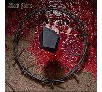 Black flame - Necrogenesis : chants from the grave [Vinilo]