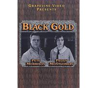 Black Gold (1924) [Edizione: Stati Uniti] [Italia] [DVD]