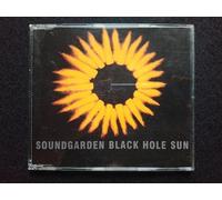 Black Hole Sun