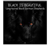 BLACK IS BEAUTIFUL Long-haired Black German Shepherds (Wall Calendar 2026 12" x 24" / 30 x 60 cm (open)) CALVENDO 12 Month Wall Calendar
