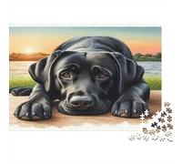 Black Lab Dog Resting Puzzle 1000 Piezas Adultos Y Jóvenes Entretenimiento En Casa Muy Difícil Más Vendido Noche En Familia Cartón Reciclado 38x26cm/1000pcs