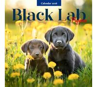Black Lab Puppies 2026 Calendar: Cute Labrador Retriever Dog Photography