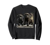 Black Lab Puppies Duo - Muelle rústico de Hierba de Trigo Sudadera