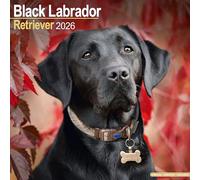 Black Labrador Retriever Calendar 2026 Square Dog Breed Wall Calendar - 16 Month