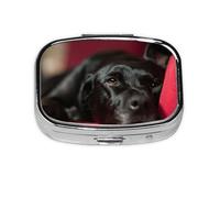 Black Labrador Retriever Pets Bokeh Perros Negros, Pastillero Meta 2 Compartimentos Medicina, Organizador Portátil