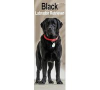 Black Labrador Retriever Slim Calendar 2026 Dog Breed Slimline Calendar - 12 Month