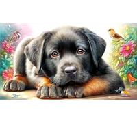 Black-Labrador-Sitting_-White-Background 1000 Piezas Puzzle en Papel Reciclado para Adultos Regalo Divertido Actividad en casa Juego Educativo Idea 70x50/1000pcs