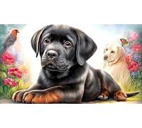 Black-Labrador-Sitting_-White-Background Puzzle de 1000 Piezas Reciclado Regalo Divertido Juego Educativo para Adultos Desafiante Idea de Regalo 70x50/1000pcs