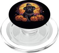 Black Labs Labrador Retriever otoño Hojas Calabaza PopSockets PopGrip para MagSafe