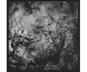 Black Lung - See the Enemy (Downloadcode/Translucente Vinyl) [Vinilo]