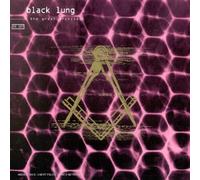 Black Lung - The Great Architect