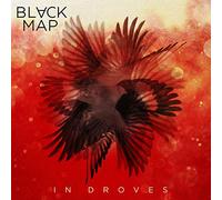 Black Map - In Droves [Vinilo]
