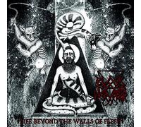 Black Mass Pervertor - Life Beyond the Walls of Flesh (Vinyl) [Vinilo]