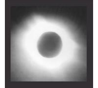 Black Meteoric Star - No More White Presidents [Vinilo]