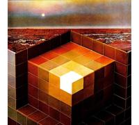 BLACK MOUNTAIN - IN THE FUTURE : 2LP SET