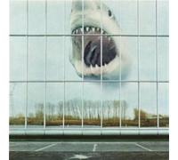 Black Mountain - Wilderness Heart [Vinilo]