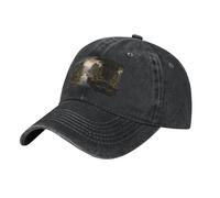 Black Mountains and Rivers - Gorra de béisbol de mezclilla lavada clásica con ala curva, de algodón, adecuada para fiestas, Negro, talla única