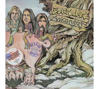 Black Oak Arkansas - high on the hog LP