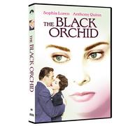 Black Orchid (DVD) (Importación USA)
