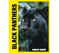 Black Panthers Photo Book: Ravenous Predators Captured In Beautiful Photography With Enigmatic Black Fur And Fierce Forest Moments