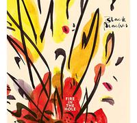 Black Peaches - Fire In The Hole [VINYL] [Vinilo]