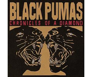Black Pumas - Chronicles Of A Diamond