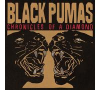 Black Pumas Chronicles Of A Diamond (CD) (Importación USA)