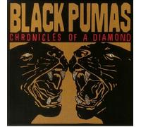 Chronicles Of A Diamond