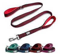 Black Rhino Correa para Perro, Resistente, para Perros medianos y Grandes, Correas de 5 pies de Largo, Dos Asas Acolchadas cómodas para Entrenamiento de Control de Seguridad, Correa Reflectante de