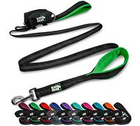 Black Rhino Correa para Perros- Perros medianos y Grandes | Correas de 6 pies de Largo | Dos manijas cómodas Acolchadas para el tráfico para el Entrenamiento de Control de Seguridad (Verde)