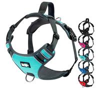Black Rhino el Perro del arnés de Confort con Malla Acolchado Chaleco para pequeñas Razas Grandes | Ajustable | Reflectante | 2 adjuntos Correa en el Pecho (pequeño, Aqua/gr), Julius k9 arnes