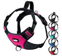 Black Rhino el Perro del arnés de Confort con Malla Acolchado Chaleco para pequeñas Razas Grandes | Ajustable | Reflectante | 2 adjuntos Correa en el Pecho (pequeño, Rosa/bl), Julius k9 arnes