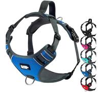 Black Rhino el Perro del arnés de Confort con Malla Acolchado Chaleco para pequeñas Razas Grandes | Ajustable | Reflectante | 2 adjuntos Correa en el Pecho (Grande, Azul/gr), Julius k9 arnes