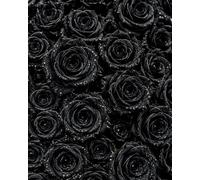 Black Roses Notebook: for Notes, Journaling, and Writing