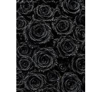 Black Roses Sketchbook: for Drawing and Creative Expression