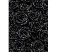Black Roses Sketchbook: for Drawing and Creative Expression