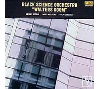 Black Science Orchestra - BLACK SCIENCE ORCHESTRA / WALTERS ROOM