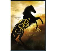 Black Stallion, The