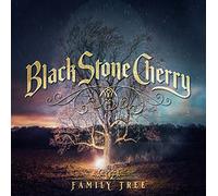 Black stone cherry - Family tree